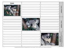 Leporello-Koala-1-1-2.pdf